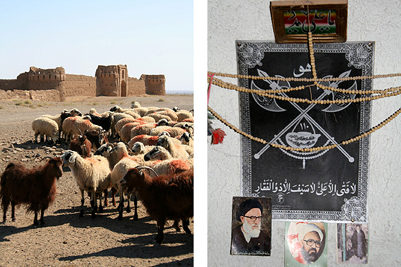 nain_caravan_shiitepics