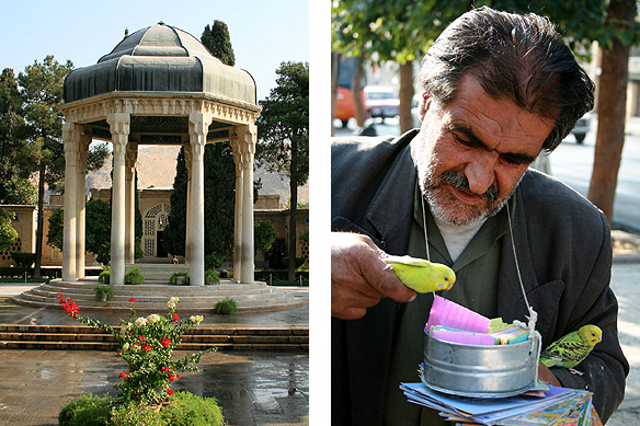 shirazhafez