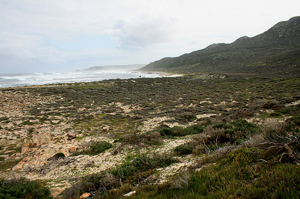 capepoint3