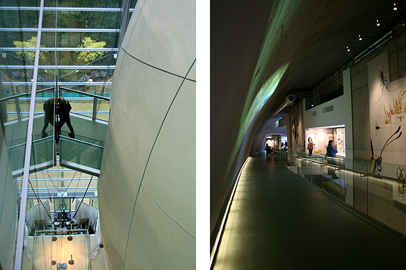 darwincentre2