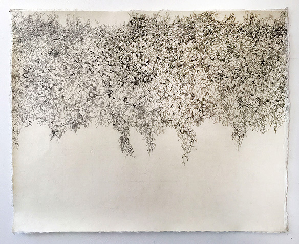 nandini_bagla_chirimar3