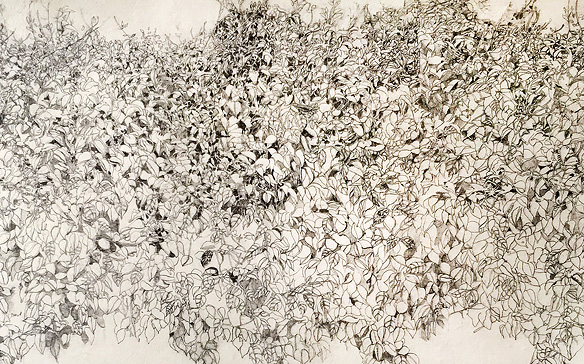 nandini_bagla_chirimar4