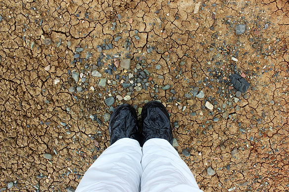 Radiation kills off everything as is illustrated on Atomic Lake's shores.