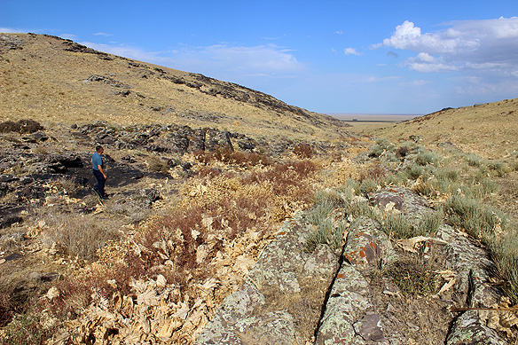 Arpauzen petroglyphs gallery contains over 5,000 rock etchings spanning three millennia.