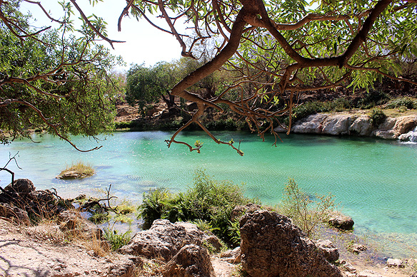 The undisputed beloved jewel of Dhofar: Wadi Darbat.