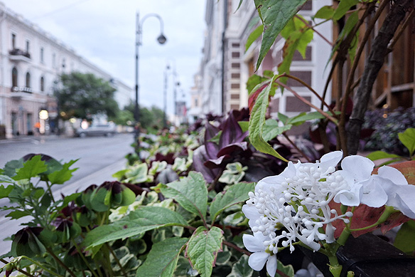 Vladivostok's charming city-centre.