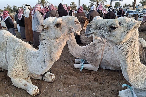 Romance is in the air.