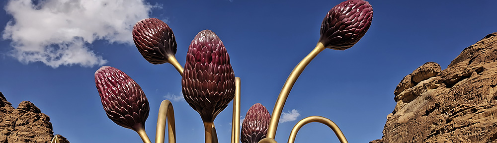 rama toshi arya's blog