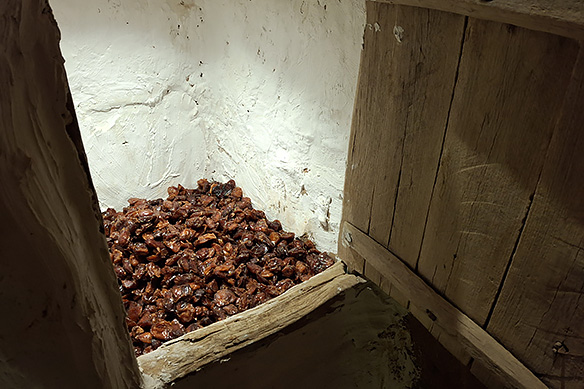 Would you like to have a date? Synonymous with Saudi hospitality, Saudi Arabia produces close to 2 million tonnes of dates annually.