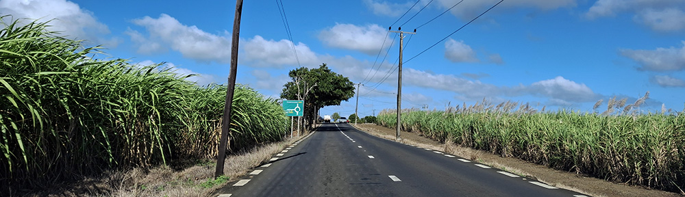 rama toshi arya's blog